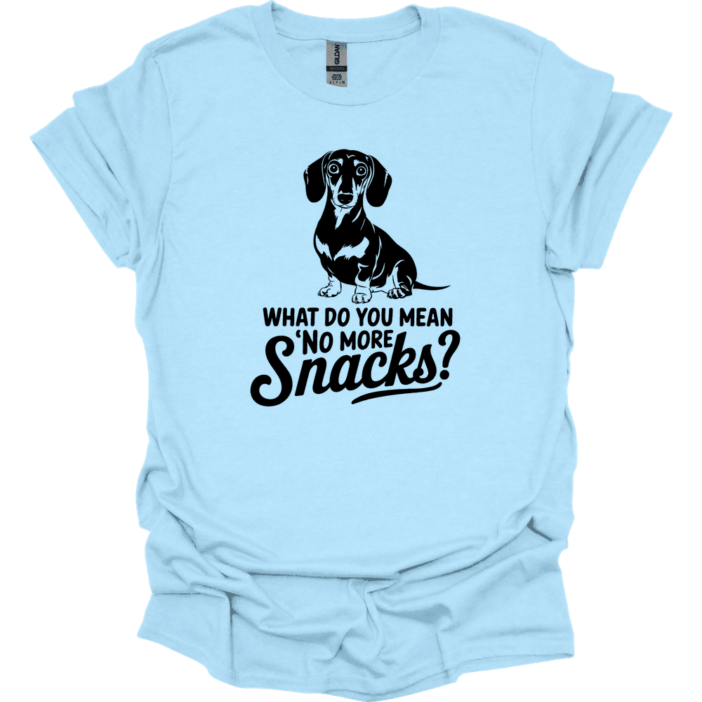 Sassy Dachshund 36 T Shirt Gift For Dog Lover