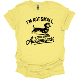 Sassy Dachshund 35 T Shirt Gift For Dog Lover
