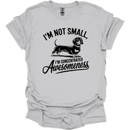 Sassy Dachshund 35 T Shirt Gift For Dog Lover