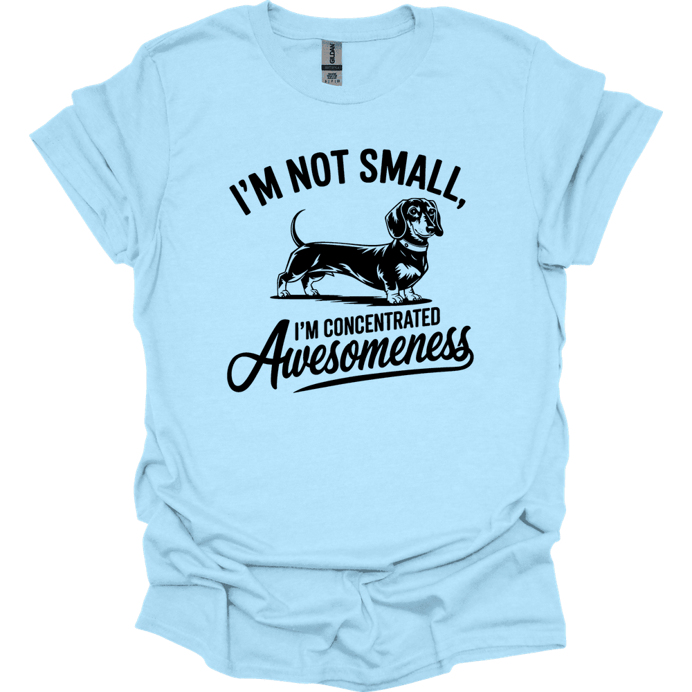 Sassy Dachshund 35 T Shirt Gift For Dog Lover