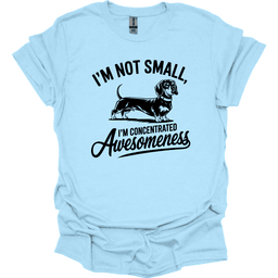 Sassy Dachshund 35 T Shirt Gift For Dog Lover