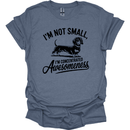 Sassy Dachshund 35 T Shirt Gift For Dog Lover