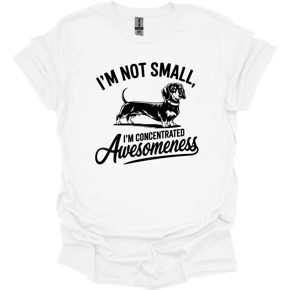 Sassy Dachshund 35 T Shirt Gift For Dog Lover