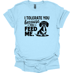 Sassy Dachshund 38 T Shirt Gift For Dog Lover