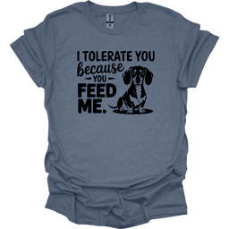Sassy Dachshund 38 T Shirt Gift For Dog Lover