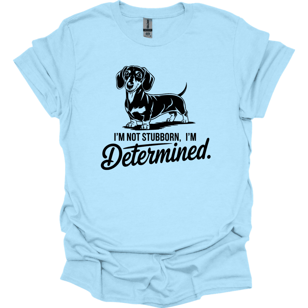 Sassy Dachshund 39 T Shirt Gift For Dog Lover