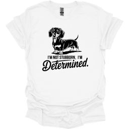 Sassy Dachshund 39 T Shirt Gift For Dog Lover