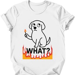 What Match T Shirt Gift For Dog Lover
