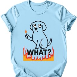 What Match T Shirt Gift For Dog Lover