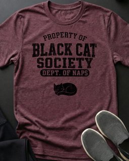 Bcs Property Of Tee Gift For Cat Lover
