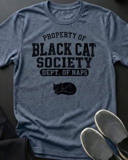 Bcs Property Of Tee Gift For Cat Lover