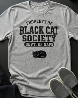 Bcs Property Of Tee Gift For Cat Lover