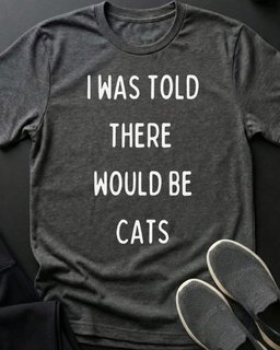 I Was Told Tee Gift For Cat Lover