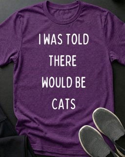 I Was Told Tee Gift For Cat Lover