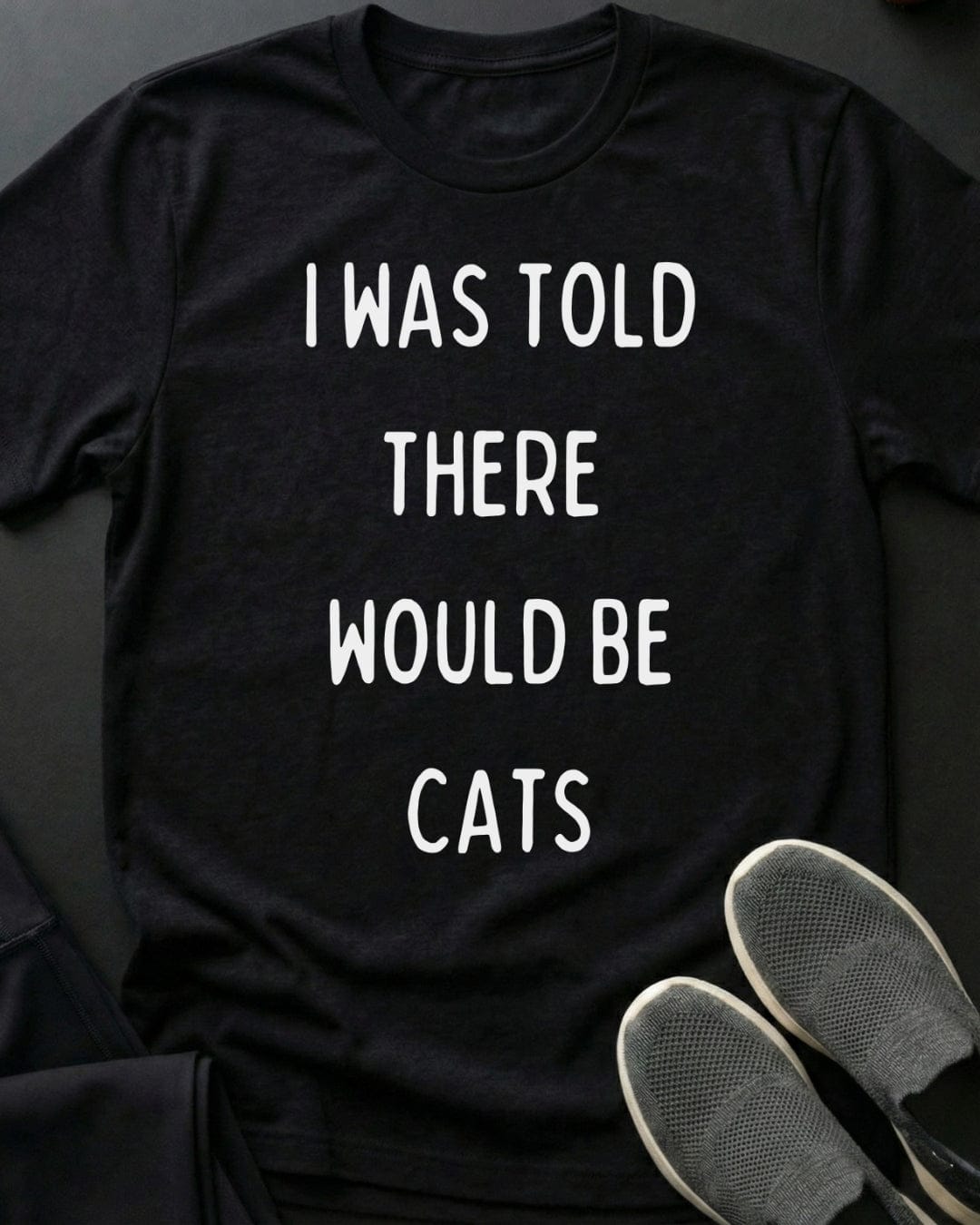 I Was Told Tee Gift For Cat Lover