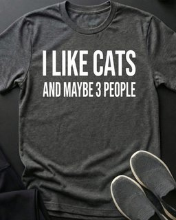 I Like Cats Tee Gift For Cat Lover