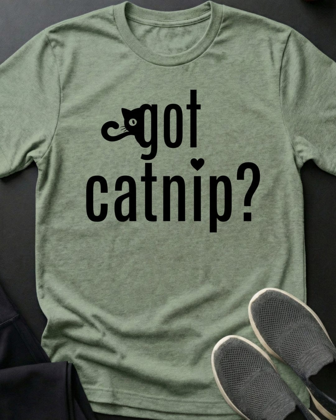 Got Catnip Tee Gift For Cat Lover