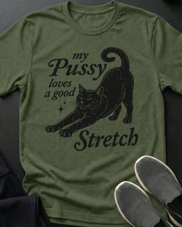 Good Stretch Tee Gift For Cat Lover