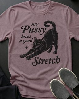 Good Stretch Tee Gift For Cat Lover