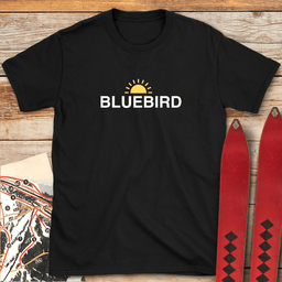 Bluebird Sun T Shirt Gift For Skier