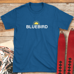 Bluebird Sun T Shirt Gift For Skier