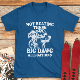 Big Dawg Allegations T Shirt Gift For Skier