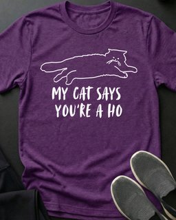 Youre A Ho Tee Gift For Cat Lover