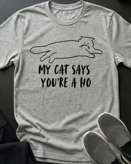 Youre A Ho Tee Gift For Cat Lover