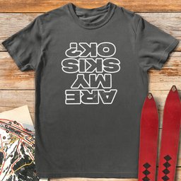 Are My Skis Ok T Shirt Gift For Skier