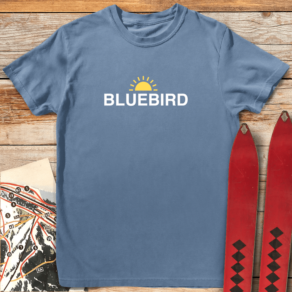 Bluebird Sun T Shirt Gift For Skier