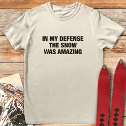 In My Defense T Shirt Gift For Skier