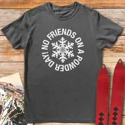 No Friends T Shirt Gift For Skier