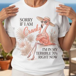 Personalized Sorry If I Am Cranky In My Terrible 70s Flamingo T Shirt Gift For Flamingo Lover