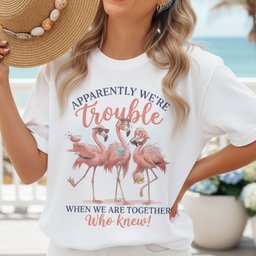Apparently Were Trouble When We Are Together Funny Flamingo T Shirt Gift For Flamingo Lover