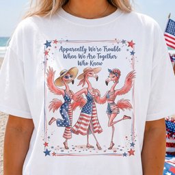 Apparently Were Trouble Flamingo Besties Patriotic July 4th Shirt T Shirt Gift For Flamingo Lover