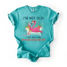 Hilarious Flamingo Quote T Shirt Im Not Old Wd 40 Funny Graphic Tee For Women Gift For Women