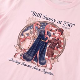 Still Sassy At 250 Flamingo Besties July 4th Shirt T Shirt Gift For Flamingo Lover