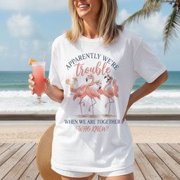 Apparently Were Trouble When We Are Together Flamingo Margarita T Shirt Gift For Flamingo Lover