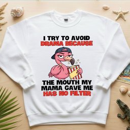 Hilarious No Filter Flamingo T Shirt For Women Sarcastic Quote Drama Tee Gift For Women