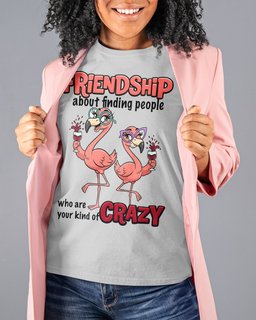 Friendship Flamingo Shirt Your Kind Of Crazy Funny Flamingo For T Shirt Gift For Flamingo Lover