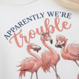 Apparently Were Trouble When We Are Together Funny Flamingo Squad T Shirt Gift For Flamingo Lover