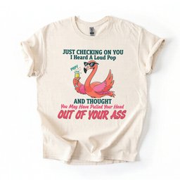 Bold Sarcastic Flamingo Graphic Tee Hilariously Rude Quote Shirt Gift For Flamingo Lover