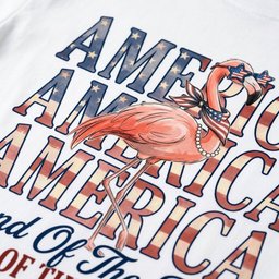 Personalized America Land Of The Free Glam Ma Patriotic Summer T Shirt Gift For Flamingo Lover