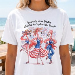 Apparently Were Trouble When We Are Together Flamingo Besties Shirt T Shirt Gift For Flamingo Lover