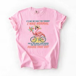 Sassy Flamingo I Was Not Normal Graphic T Shirt Funny Quote Tee For Women Gift For Women