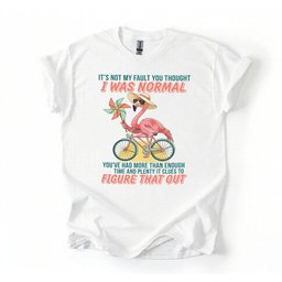 Sassy Flamingo I Was Not Normal Graphic T Shirt Funny Quote Tee For Women Gift For Women