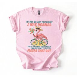 Sassy Flamingo I Was Not Normal Graphic T Shirt Funny Quote Tee For Women Gift For Women