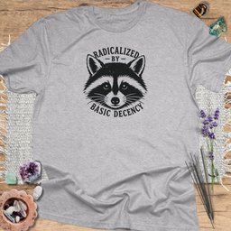 Basic Decency Raccoon T Shirt Gift For Yoga Lover