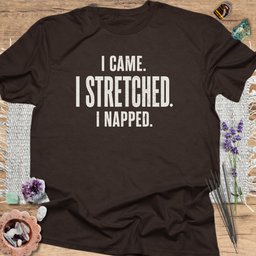 I Came I Stretched I Napped T Shirt Gift For Yoga Lover