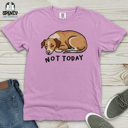 Not Today 02 Heavy Cotton Comfort Colors Tee Gift For Animal Lover